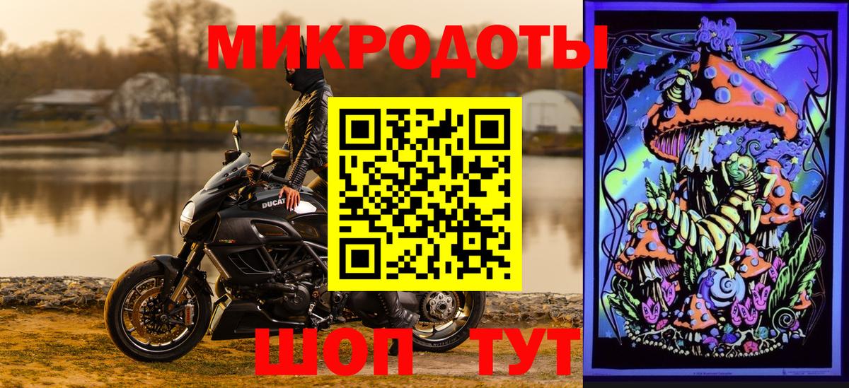 где найти   Галлюциногенные грибы Cubensis  Кизилюрт  Псилоцибиновые грибы Psilocybine cubensis 