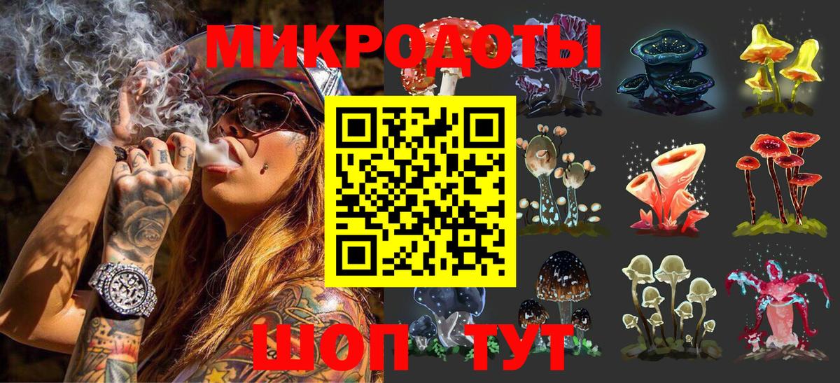 Псилоцибиновые грибы мицелий  Вход с VPN  Кизилюрт 