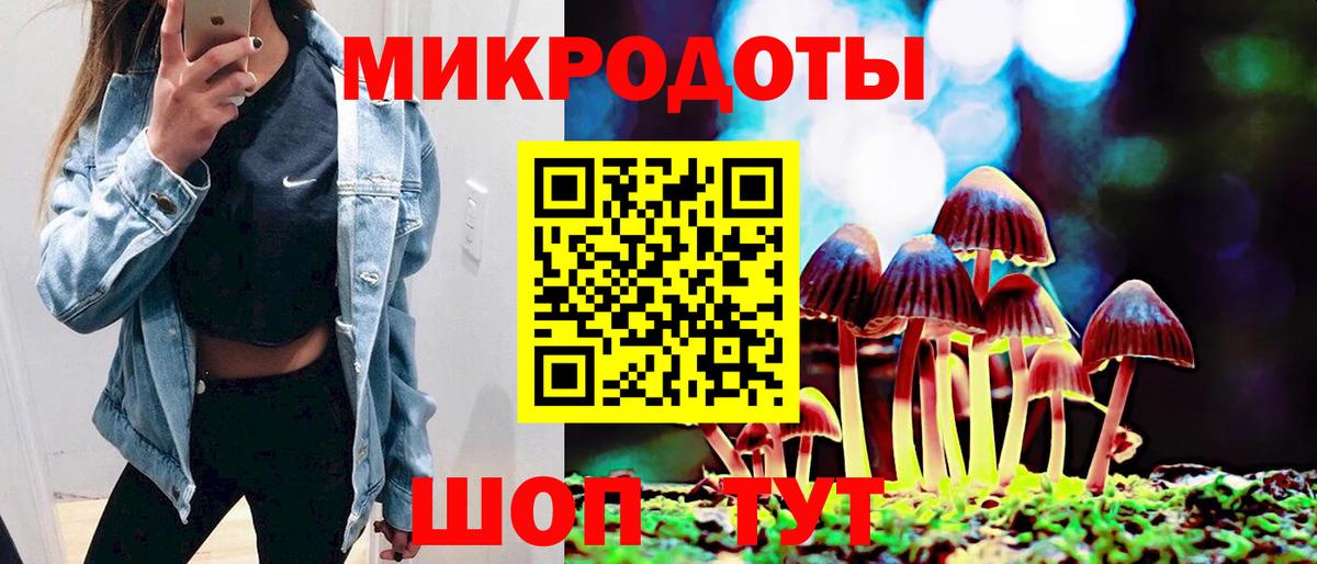 Псилоцибиновые грибы Psilocybe Кизилюрт