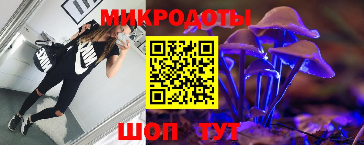 Галлюциногенные грибы Psilocybe Кизилюрт